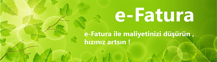 e-Fatura | e-Çözümler ve e-Devlet Hizmetleri | Ferec Bilgisayar