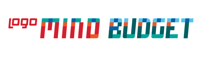 Logo Mind Budget | İş Analitiği ve İş Zekası | Ferec Bilgisayar